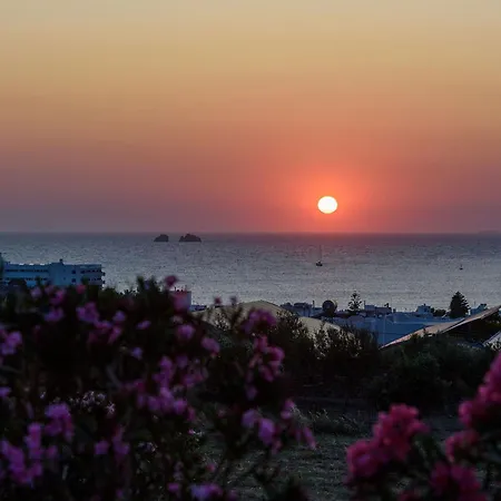 Aigaiou Avra * פארוס